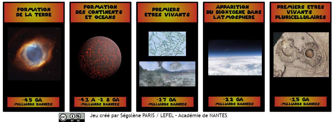 You are currently viewing La vie sur Terre au fil du temps (carte type timeline – cycle 3)