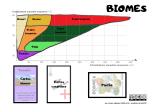 Lire la suite à propos de l’article Biomes (Cartes type UNO – Cycle 4)